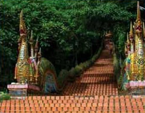 Doi Suthep & Elephant Sanctuary, photo 3