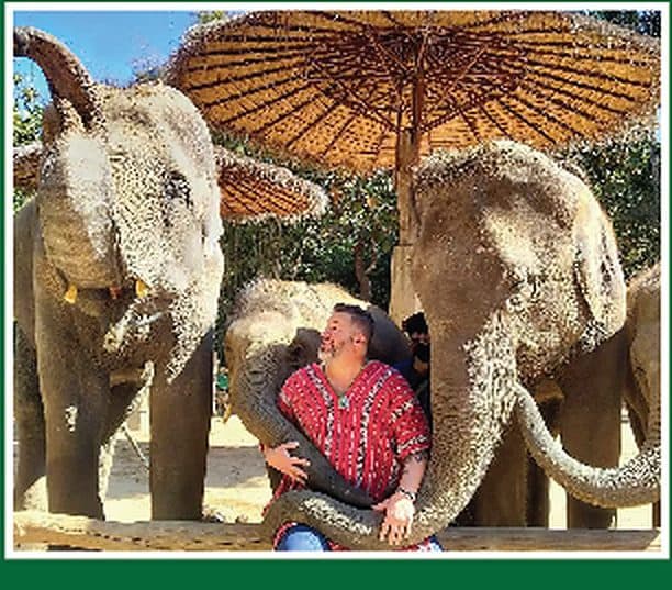 Doi Suthep & Elephant Sanctuary