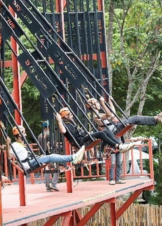 Skyline Jungle Luge & Zipline, photo 4