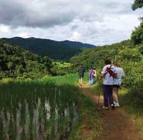 Doi Inthanon tours from Chiang Mai