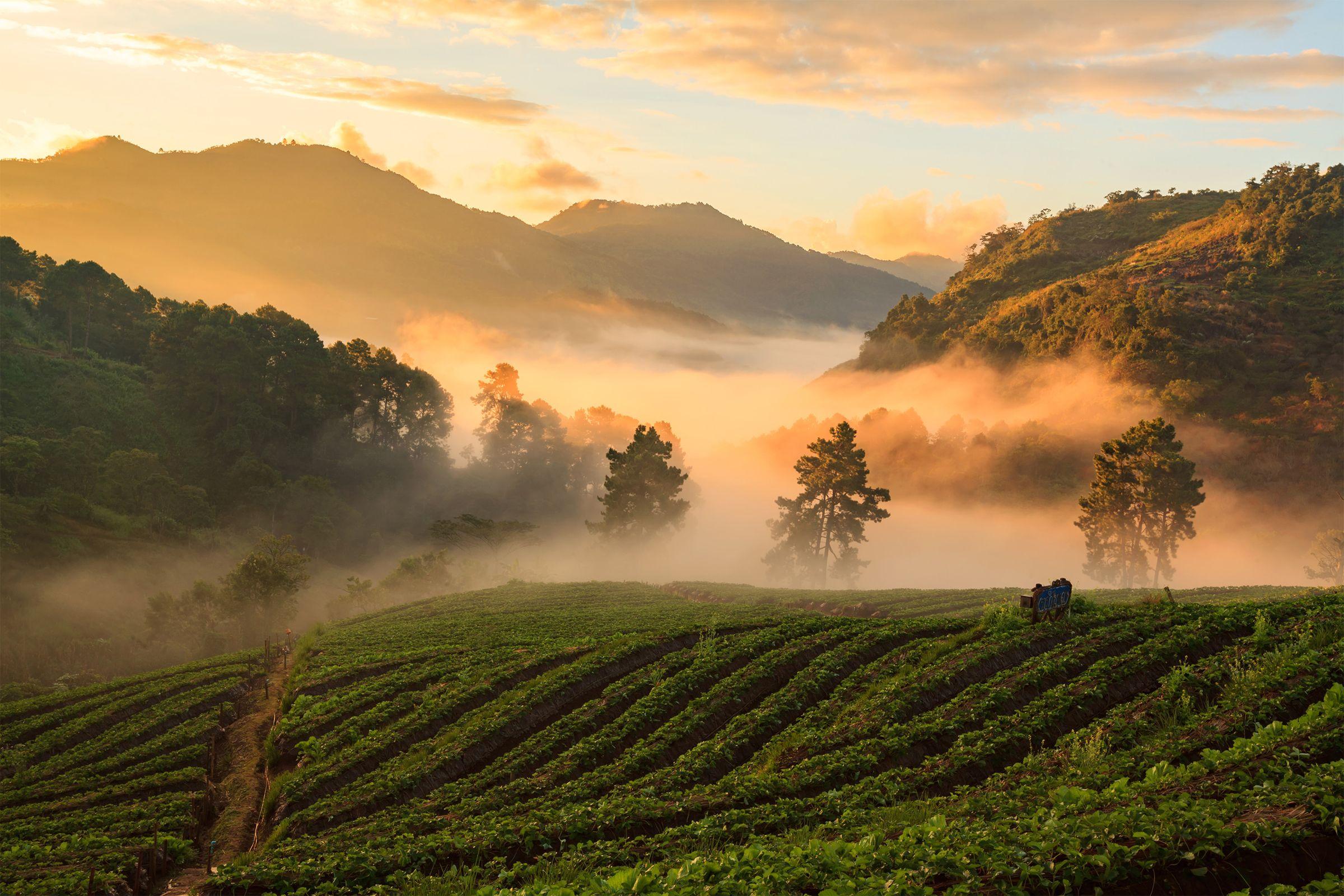 Morning mist over the hills of northern Thailand