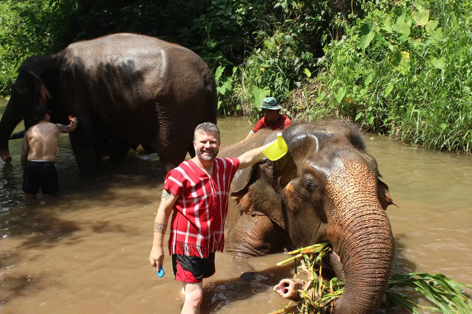 Half-Day Elephant Care & Baby Elephant (No Riding), photo 3