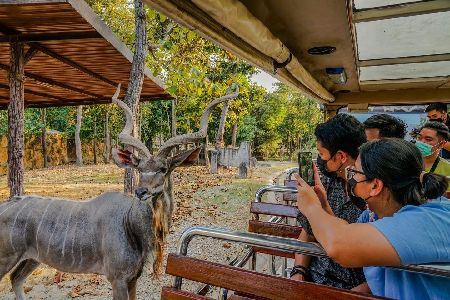 Chiang Mai Night Safari, photo 4