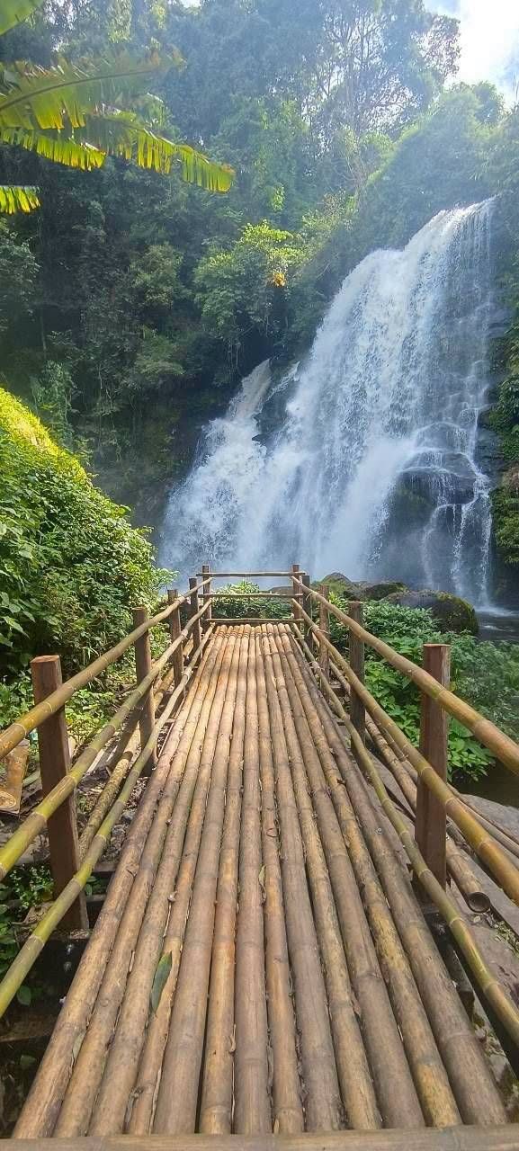 Doi Inthanon Trek & Elephant Sanctuary, photo 2