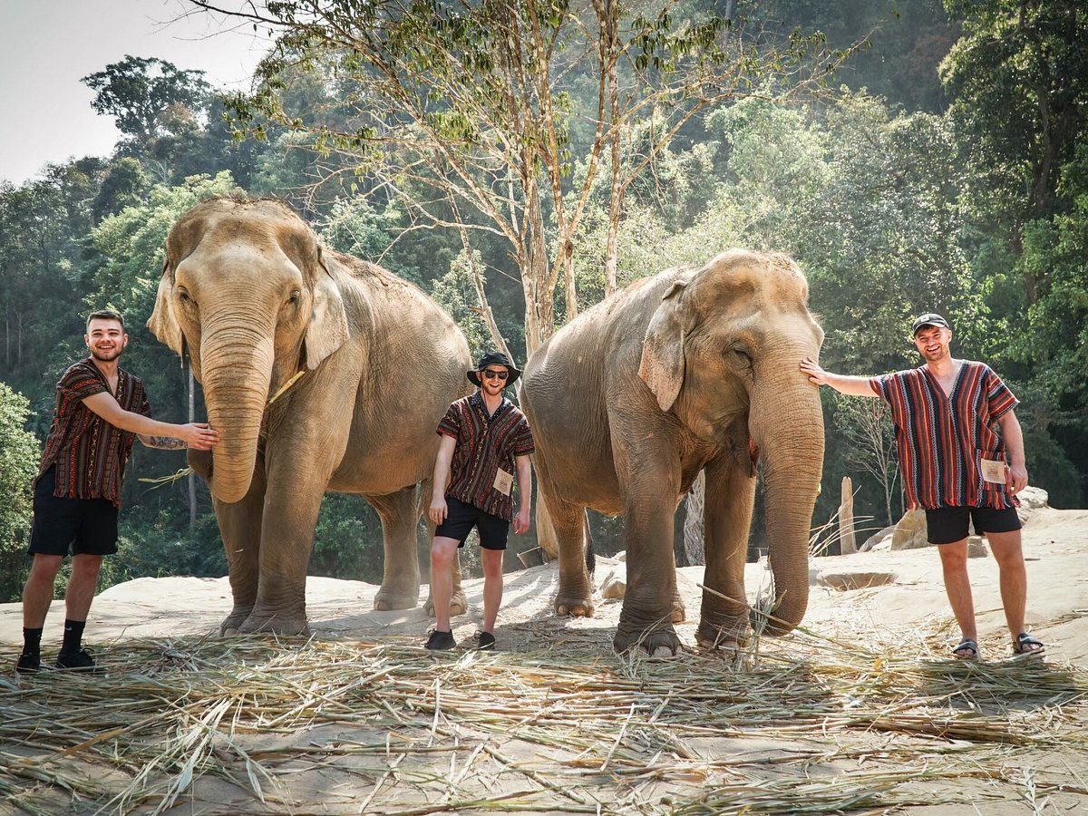 Doi Inthanon Trek & Elephant Sanctuary, photo 3