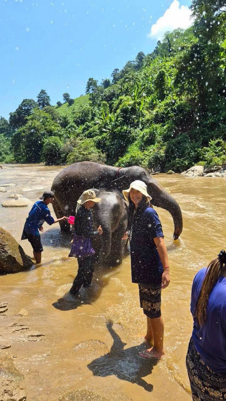 Elephants, Rafting & ATV, photo 4