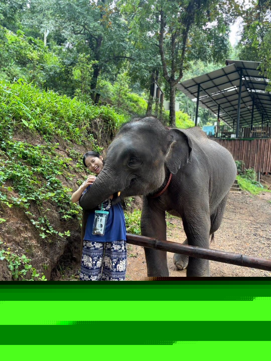 Elephant Sanctuary & Sticky Waterfall, photo 4