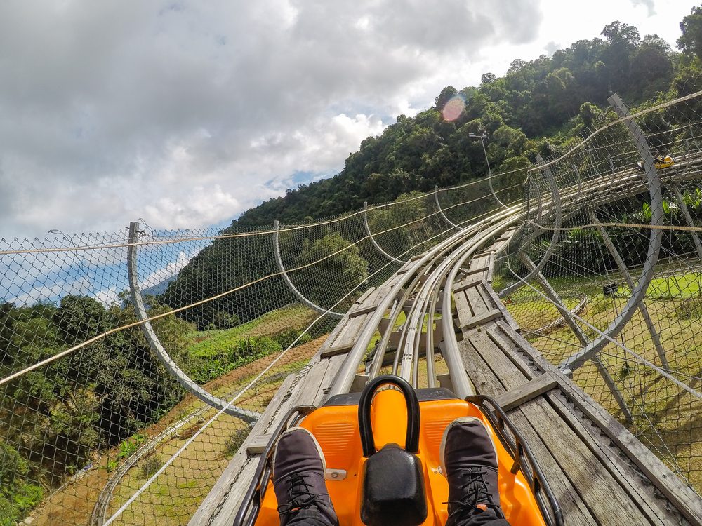 Elephant Sanctuary + Jungle coaster + Zipline