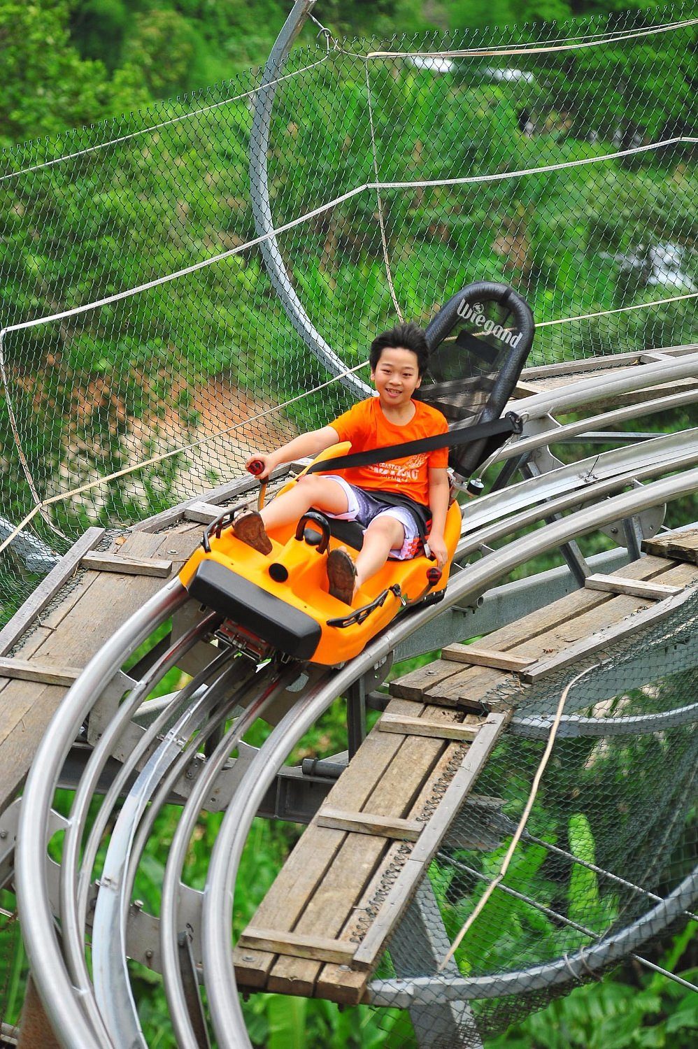 Elephant Sanctuary + Jungle coaster + Zipline, photo 4