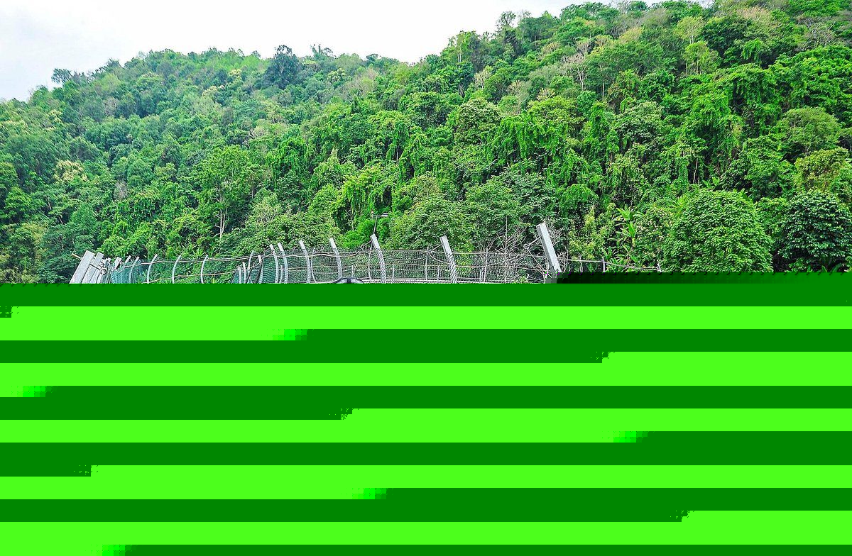 Elephant Sanctuary + Jungle coaster + Zipline, photo 5