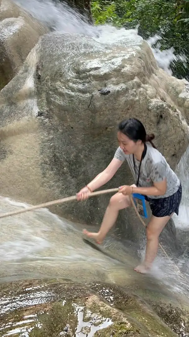 巨型雨树半日游，第 7 张