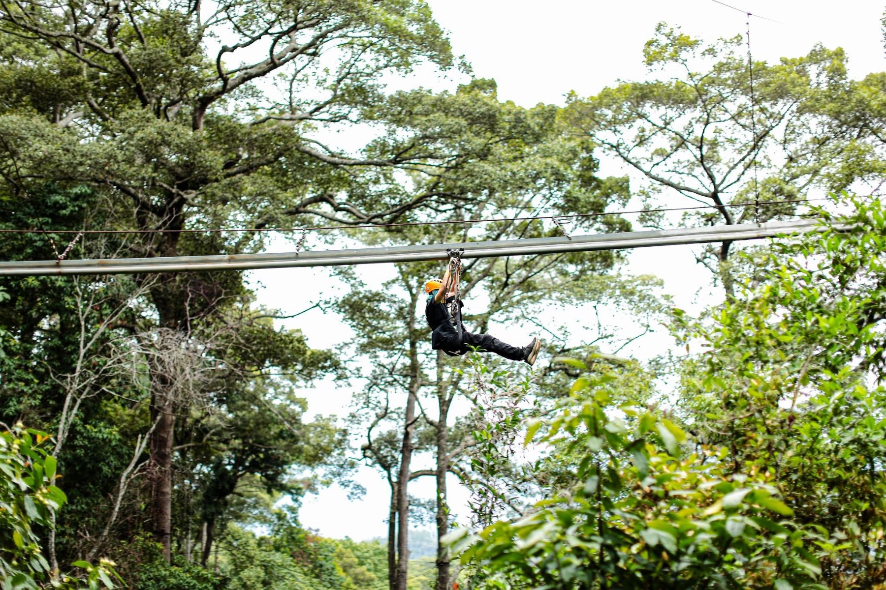 Jungle Flight Zipline, photo 3