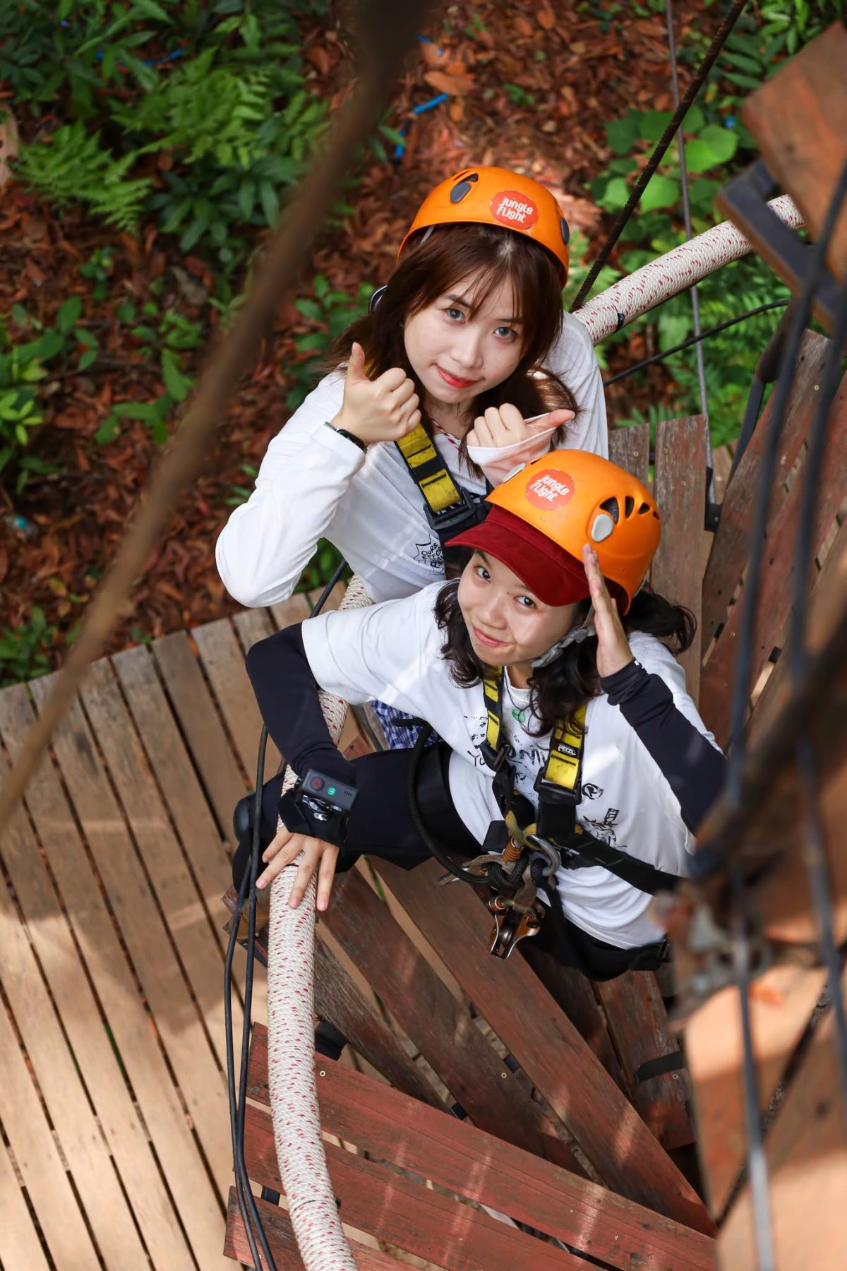 Jungle Flight Zipline, photo 4