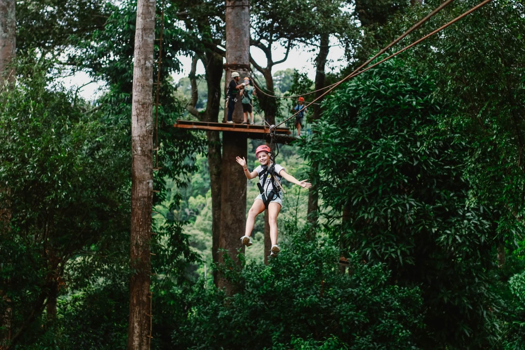 Jungle Flight Zipline, photo 5