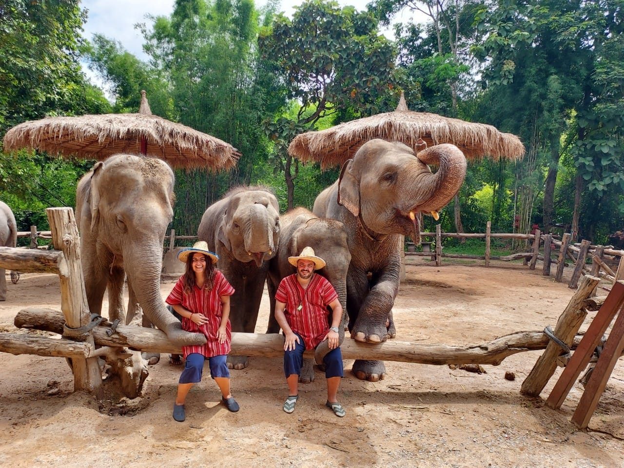 Half-Day Long-Neck Village & Elephant Camp, photo 2