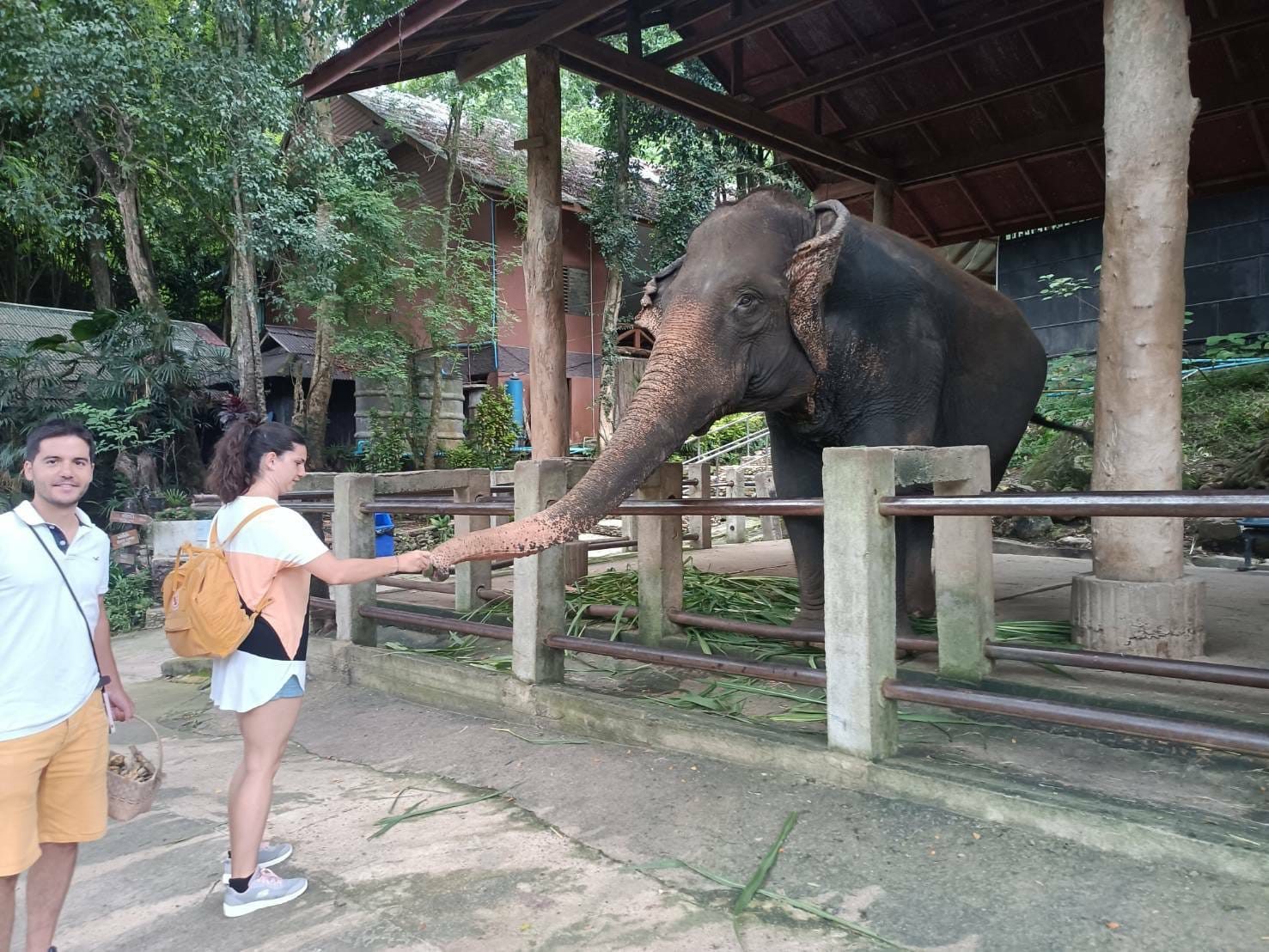 Half-Day Long-Neck Village & Elephant Camp, photo 3