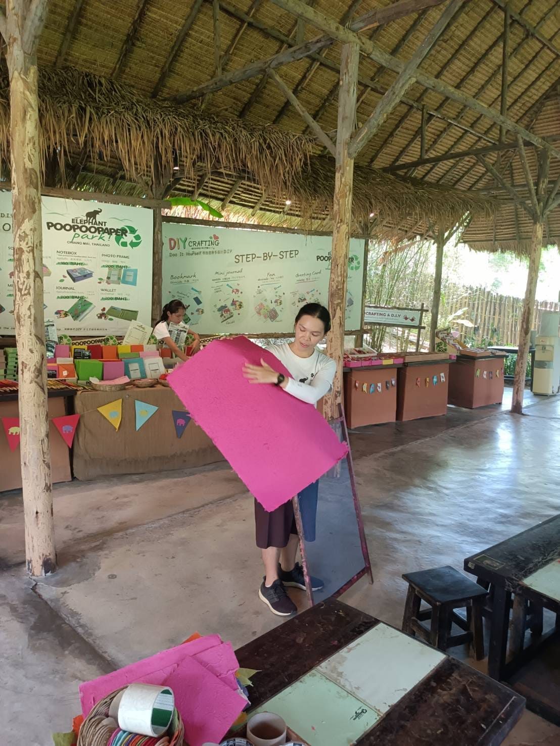 Half-Day Long-Neck Village & Elephant Camp, photo 5