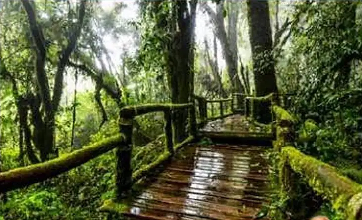 Doi Inthanon tour guide: summit, pagodas, trails and waterfalls